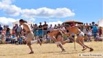 Les Arverniales 2015 - Gladiateurs - ACTA - Historia Photographie 036.jpg